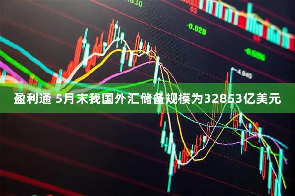 盈利通 5月末我国外汇储备规模为32853亿美元