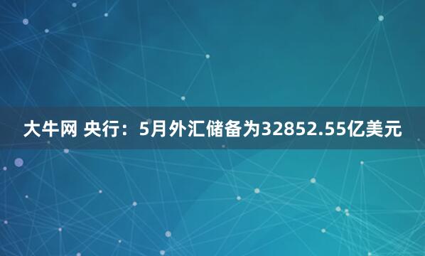 大牛网 央行：5月外汇储备为32852.55亿美元
