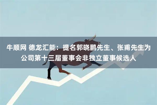 牛顺网 德龙汇能：提名郭晓鹏先生、张甫先生为公司第十三届董事会非独立董事候选人