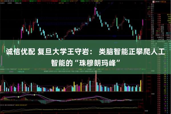 诚信优配 复旦大学王守岩： 类脑智能正攀爬人工智能的“珠穆朗玛峰”