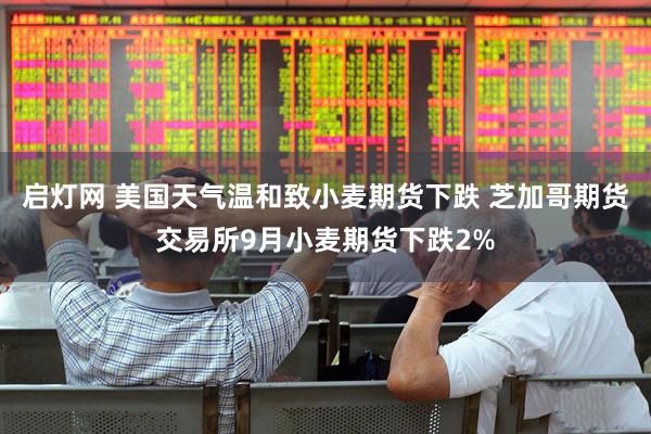 启灯网 美国天气温和致小麦期货下跌 芝加哥期货交易所9月小麦期货下跌2%