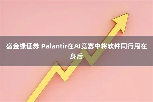 盛金缘证券 Palantir在AI竞赛中将软件同行甩在身后